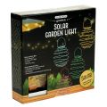 Floristik24 Lampe de jardin solaire verte 22 cm avec 25 LED blanc chaud