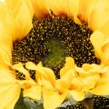 Tournesol artificiel avec feuilles et fleurs réalistes, 58 cm, lot de 3 | Floristik24.be