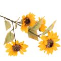 Tournesol artificiel,