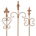 Floristik24 Piquet décoratif de jardin vintage, métal rouillé, assorti, 58 cm, lot de 3