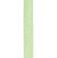 Floristik24 Bougies coniques de couleur vert clair 21 × 240mm 12pcs