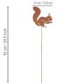 Tuteur de jardin décoratif rouille écureuil pour parterre et pot de fleurs 52 cm, lot de 2 | Floristik24.be