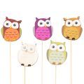 Floristik24 Tuteurs en bois en forme de hibou pour bouquets de fleurs et pots de fleurs, 31 cm, lot de 12