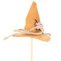 Chapeaux de sorcière