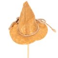 Chapeaux de sorcière