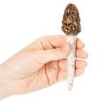 Morilles artificielles décoratives à piquer pour pots de fleurs et tables, 13 cm, lot de 2 | Floristik24.be