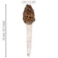 Morilles artificielles décoratives à piquer pour pots de fleurs et tables, 13 cm, lot de 2 | Floristik24.be