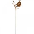 Floristik24 Patine décoration de jardin plug métal oiseau avec couronne 6 pièces
