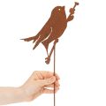 Piquet décoratif pour jardin, en métal rouillé, 52 cm | Floristik24.be