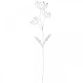 Floristik24 Décoration printanière, prise déco fleur shabby chic blanc, argent L87cm W18cm