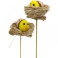 Floristik24 Bouchon décoratif poussins dans le nid Décoration de Pâques pour brancher Ø6cm 6 pièces