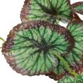Floristik24 Guirlande décorative Saxifrage artificielle verte Saxifraga 152cm