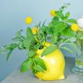 Floristik24 Vase en faïence jaune citron 15cm