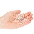 Étoiles décoratives en acrylique transparent irisé, décorations pour sapin de Noël, 9 cm, lot de 6 | Floristik24.be
