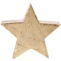 Support décoratif en forme d'étoile de Noël pour table ou étagère, 10 cm, lot de 3 | Floristik24.be