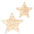 Floristik24 Ensemble d'étoiles décoratives en fil de fer, deux tailles, 10 cm, 12 pièces
