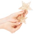Ensemble d'étoiles décoratives en fil de fer, deux tailles, 10 cm, 12 pièces | Floristik24.be