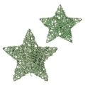 Floristik24 Ensemble d'étoiles décoratives en fil de fer vert, deux tailles, 10 cm, 12 pièces