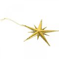 Floristik24 Pendentif étoile de décoration de Noël doré L11,5 cm 16pcs