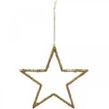 Floristik24 Étoiles pailletées, décorations de l&#39;avent, décorations étoiles à accrocher, décorations de Noël dorées 11,5 × 12cm 12pcs