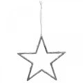 Floristik24 Etoile à accrocher, décorations d&#39;arbre de Noël, décoration étoile argent 11,5 × 12cm 12pcs