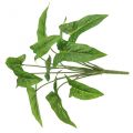 Bouquet de lierre artificiel doré vert 40cm | Floristik24.be