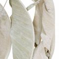 Floristik24 Feuilles de Strelitzia blanchies séchées 45-80cm 10p