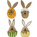 Floristik24 Décoration de litière lapin en oeuf, décoration cadeau, oeuf de lapin à décorer, décoration bois à coller sur 12pcs