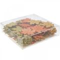 Floristik24 Décoration de table automne, décor à parsemer bois feuille d&#39;érable L4cm 72p