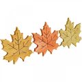 Floristik24 Décoration de table automne, décor à parsemer bois feuille d&#39;érable L4cm 72p