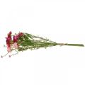 Rhodanthe rose-rose, fleurs en soie, plante artificielle, bouquet de fleurs en paille L46cm