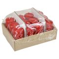 Bougies piliers H100 Ø50cm bougies rouges 12pcs | Floristik24.be