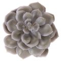 Fleurs artificielles