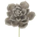 Floristik24 Plantes artificielles succulentes en cire avec fil de fer, 8 cm, lot de 8