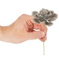 Plantes artificielles succulentes en cire avec fil de fer, 8 cm, lot de 8 | Floristik24.be