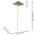 Plantes artificielles succulentes en cire avec fil de fer, 8 cm, lot de 8 | Floristik24.be
