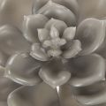 Plantes artificielles succulentes en cire avec fil de fer, 8 cm, lot de 8 | Floristik24.be