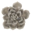 Plantes artificielles