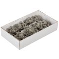 Plantes artificielles