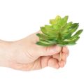 Plante grasse artificielle verte, pour décoration dans un bol ou un vase, 10 cm, lot de 4 | Floristik24.be