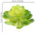 Plante grasse artificielle verte, pour décoration dans un bol ou un vase, 10 cm, lot de 4 | Floristik24.be