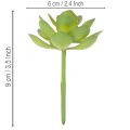 Plante grasse artificielle verte comme décoration pour des compositions créatives | Floristik24.be