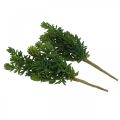 Floristik24 Plante verte artificielle succulente à coller 25cm vert 2pcs