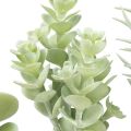 Floristik24 Plantes Vertes Artificielles Succulentes Vert Assorti 9-18.5cm 4pcs