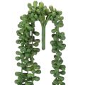 Guirlande de plantes artificielles suspendues, décoration succulente pour salon | Floristik24.be