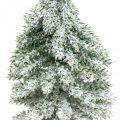 Floristik24 Sapin de Noël décoratif, décoration hivernale, sapin avec neige H19cm