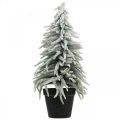 Floristik24 Sapin d&#39;hiver en pot, décoration de Noël, sapin avec neige H45cm