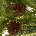 Guirlande artificielle de branches de pin avec pommes de pin pour décoration de l'Avent, 218 cm | Floristik24.be