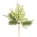 Floristik24 Branche de sapin artificielle pour décoration festive, 22 cm, 2 pièces