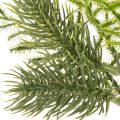 Branche de sapin artificielle pour décoration festive, 22 cm, 2 pièces | Floristik24.be